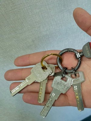 hand holding keys